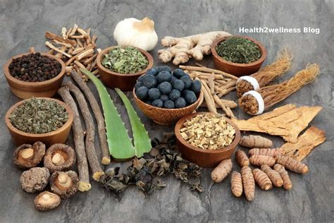 Top 10 Benefits Of Using Herbal Medicines Health2wellness