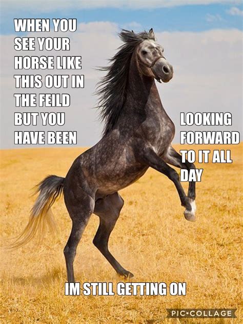 Funny Horse Racing Quotes Shortquotescc