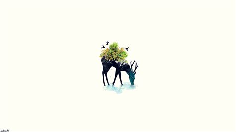 Deer Minimalism Nature Wallpapers Hd Desktop And Mobile Backgrounds