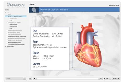 Die Physiologie Des Menschen Tutoolio Healthcare