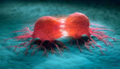 Cancer Cell Growth Managing Breast Cancer
