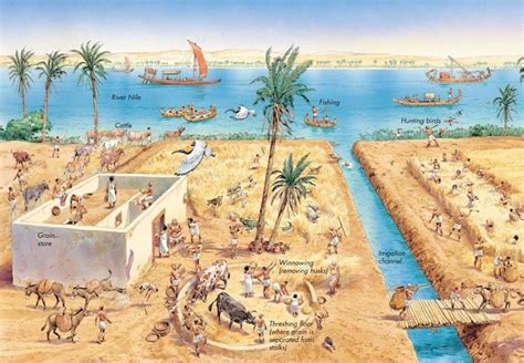 Farming In Ancient Egypt Q Files Encyclopedia Ancient Egypt Farming