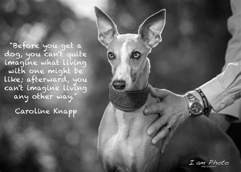 Dog Best Friend Quotes And Pics By I Am Photo Photography Dog Best