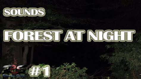 8 Hours Forest Night Sounds Relaxing Sleep Sounds