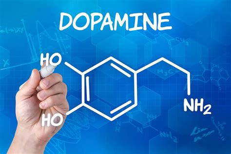 Dopamine Deficiency And Your Mental Health Resetme