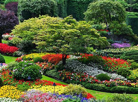 Beautiful Italian Flower Garden Landscaper First Needs