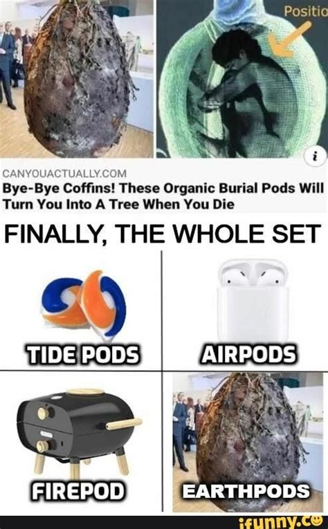 Bye Bye Coffins These Organic Burial Pods Will Turn You Into A Tree When You Die Finally The