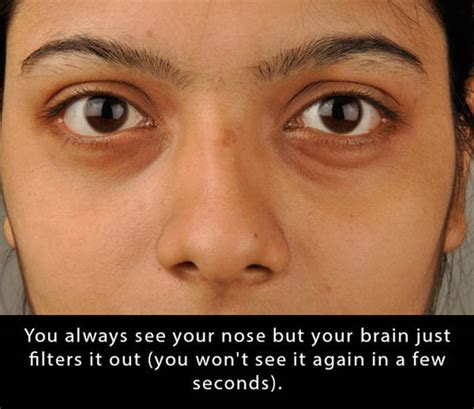 Interesting Facts That Will Blow Your Mind To Pieces Others