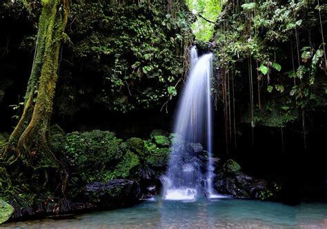 best things to do in dominica [ultimate] travel guide tips and attractions