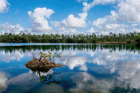 Everglades 0347 Photograph By Rudy Umans Fine Art America
