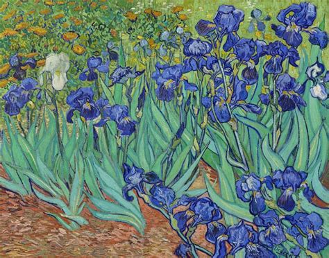Irises 1889 Vincent Van Gogh