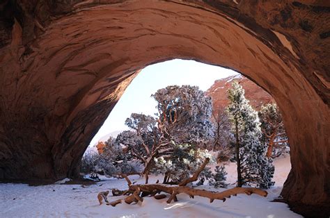 Navajo Arch In Arches National Park Utah With Snow And Trees