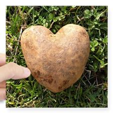 Heart Shaped Potato Sticker (Square) Heart Shaped Potato Sticker by FrankieCat - CafePress ...