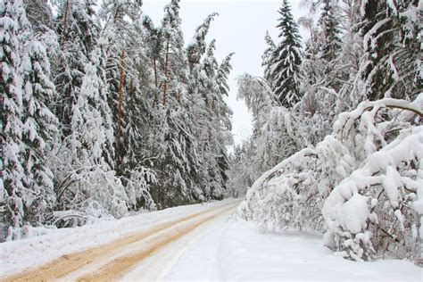Snow Country Road Stock Photo Image Of Road Cold Country 17417324