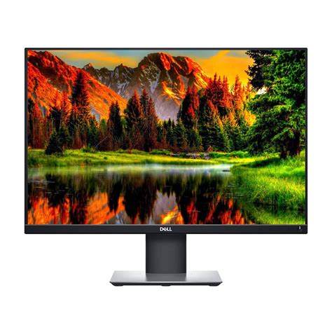 Dell Professional P2421 24 Fhd Ips Monitor Computer Lounge