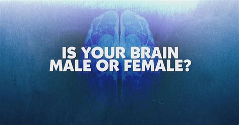 Is Your Brain Male Or Female Promo Vegas Pbs Pbs