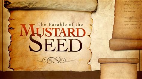 Mustard Seed Clip Art Parable Of The Mustard Seed Par