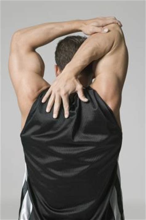 More images for how to stretch your triceps and biceps » How to Stretch Biceps Brachii, Triceps Brachii ...