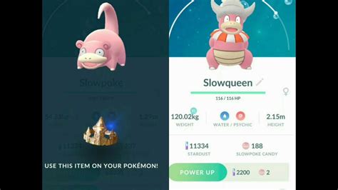 This item is used on two very important generation 2 pokemon. Slowking Evolution using KING'S ROCK! Pokemon GO Evolution ...