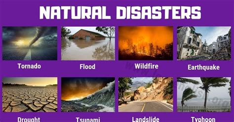 Explore Essential English Vocabulary For Natural Disasters