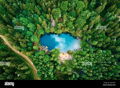 Blue Lake In The Middle Of Green Forest Aerial View Wild Colorful