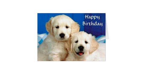 Happy Birthday Golden Retriever Puppy Card