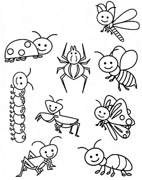 Mais De 40 Desenhos Para Colorir De Insetos