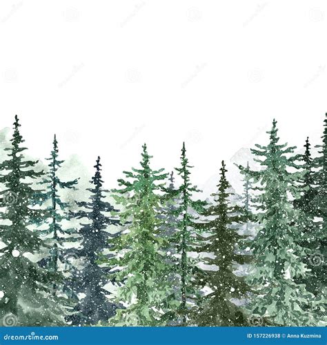 Watercolor Pine Tree Isolated On White Hand Painted Illustration Stock