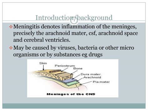 Acute Bacterial Meningitis In Children Notes 11998