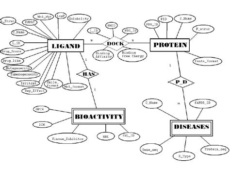 Entity Relationship Diagram Download Scientific Diagram
