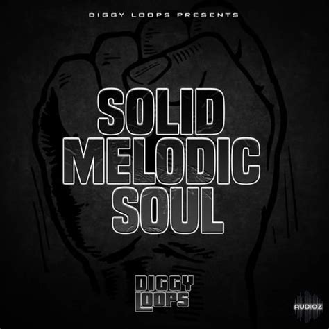 Download Big Citi Loops Solid Melodic Soul Wav Fantastic Audioz