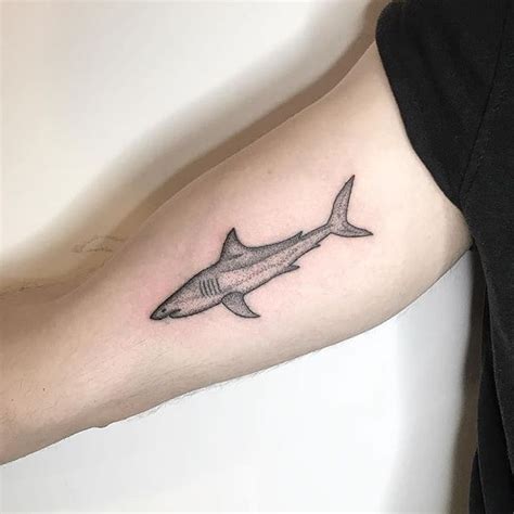 Pin By Anna On Tattoos Shark Tattoos Tattoos Small Shark Tattoo