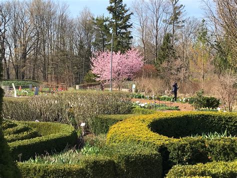 A Visit To The Toronto Botanical Garden
