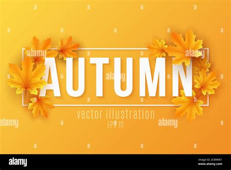 Autumn Seasonal Banner With Maple Leaves In Frame On Orange Background
