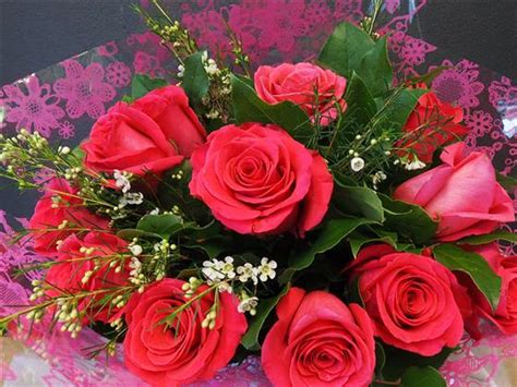 12 Hot Pink Rose Bouquet