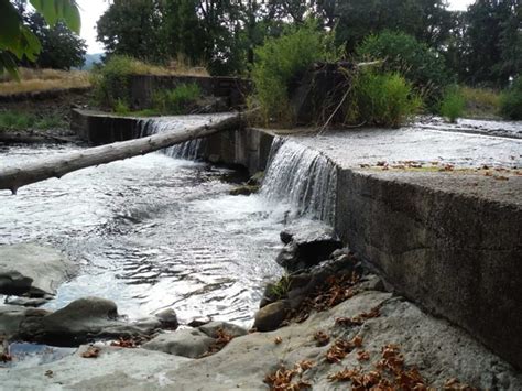 Balm Grove Dam Removal Tualatin River Watershed Council