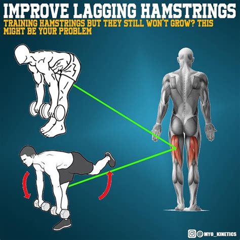 Hamstrings Workout Improve Hamstring Strength And Definition With Images Hamstring Workout