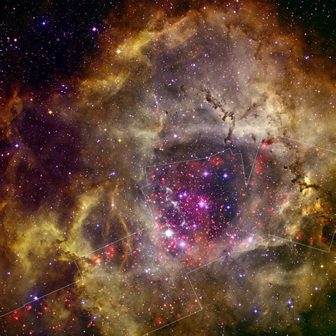 The Rosette Nebula Nasa