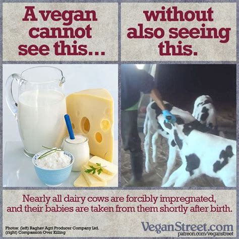 Eating Dairy Products Is Not Unethical Resources ~ Your Vegan Fallacy Is Vegan Facts Why