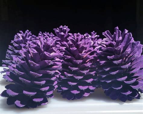 Purple Pine Cones Christmas Pine Cones 1 Dozen Winter Wedding Etsy