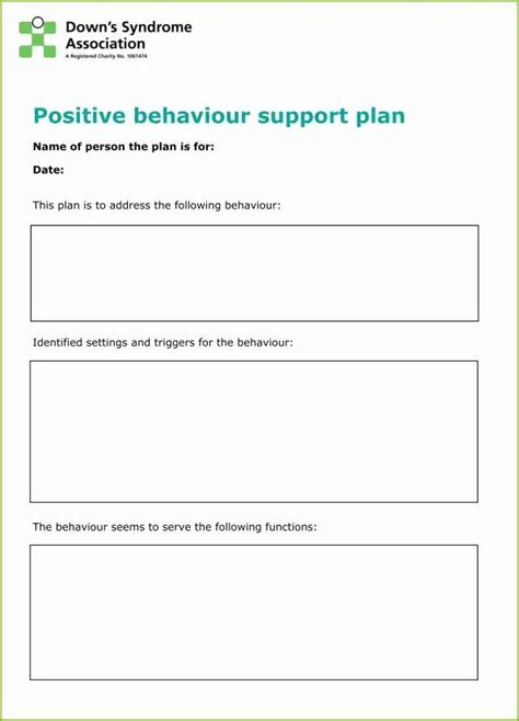 Positive Behavior Support Plan Template