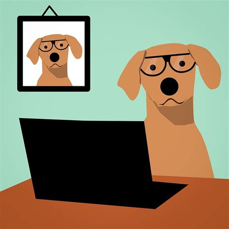 Dog Laptop Computer · Free Image On Pixabay