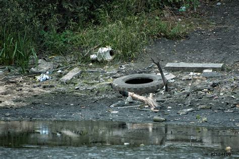 Garbage On The River Bank Of The Lake Old Tire Stock Photo Crushpixel