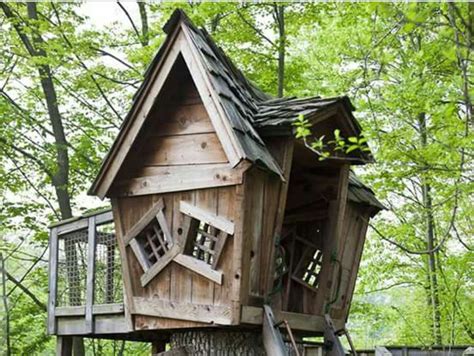 Find and save images from the mike bird collection by alessia ❥ (alessiii_a) on we heart it, your everyday app to get lost in what you love. Pin by Angie Burwell Lansinger on Projects | Bird houses ...