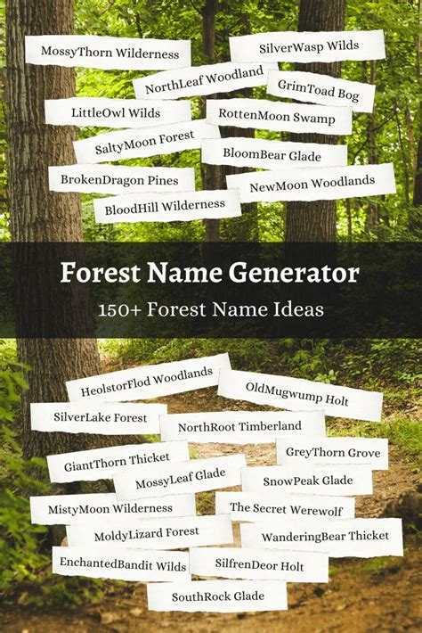 Forest Name Generator 1000 Forest Name Ideas 🌲 Imagine Forest