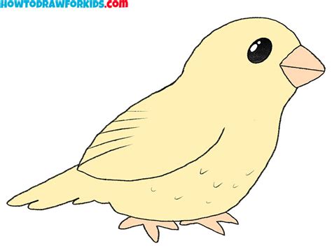 How To Draw A Cartoon Bird Easy Drawing Tutorial For Kids