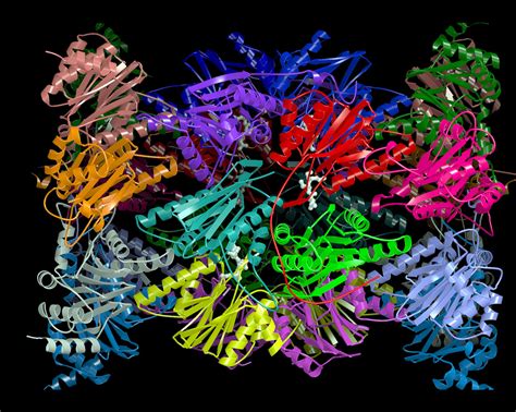 Bortezomib ist ein arzneistoff, der zur therapie des multiplen myeloms (plasmozytom) zugelassen ist. Gründung des Start-ups QLi5 Therapeutics - www.max-planck ...