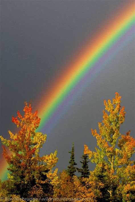 Fall Rainbow Photo Rainbow Photography Rainbow Photography Nature