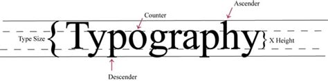 Typography Anatomy Of A Letterform Designmodo