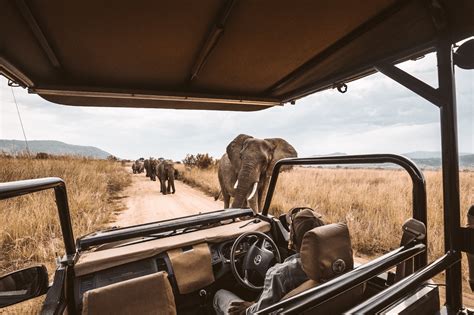 Safaris Sostenibles En Tanzania Aventuras Naturaleza Y Ecología